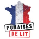 Infestation de punaises de lit en France