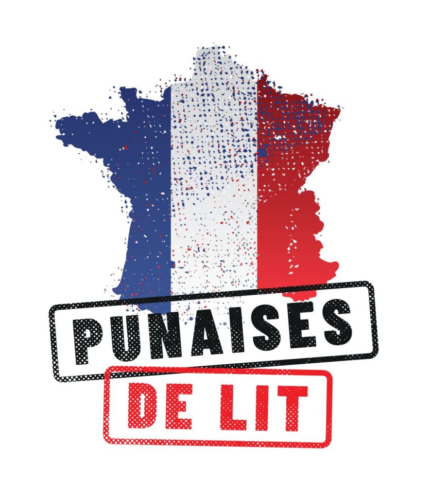 Infestation de punaises de lit en France