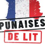Infestation de punaises de lit en France