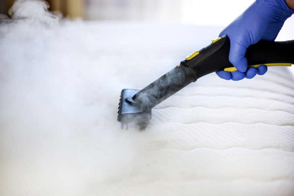 Le nettoyeur vapeur pour tuer les punaises de lit dans le matelas