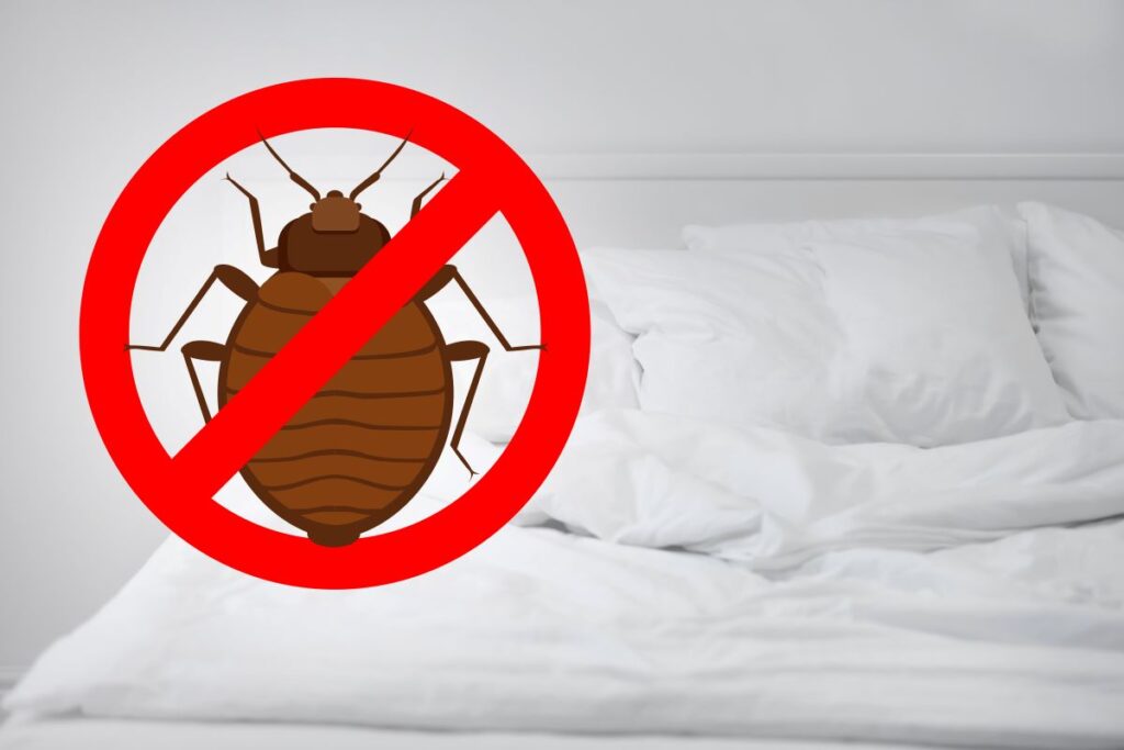 CO2 trap or pheromone trap for bedbugs?