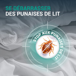 TERRE DE DIATOMÉE en poudre Punaises de Lit – Image 6
