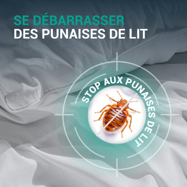 Lot De 4 Pièges Anti Punaises De Lit Avec Terre De Diatomée - Pour Pieds De Lit Cylindriques Jusqu'à 70 Mm, Fabriqué En France
