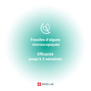 Terre de diatomée fossiles d'algues microscopiques
