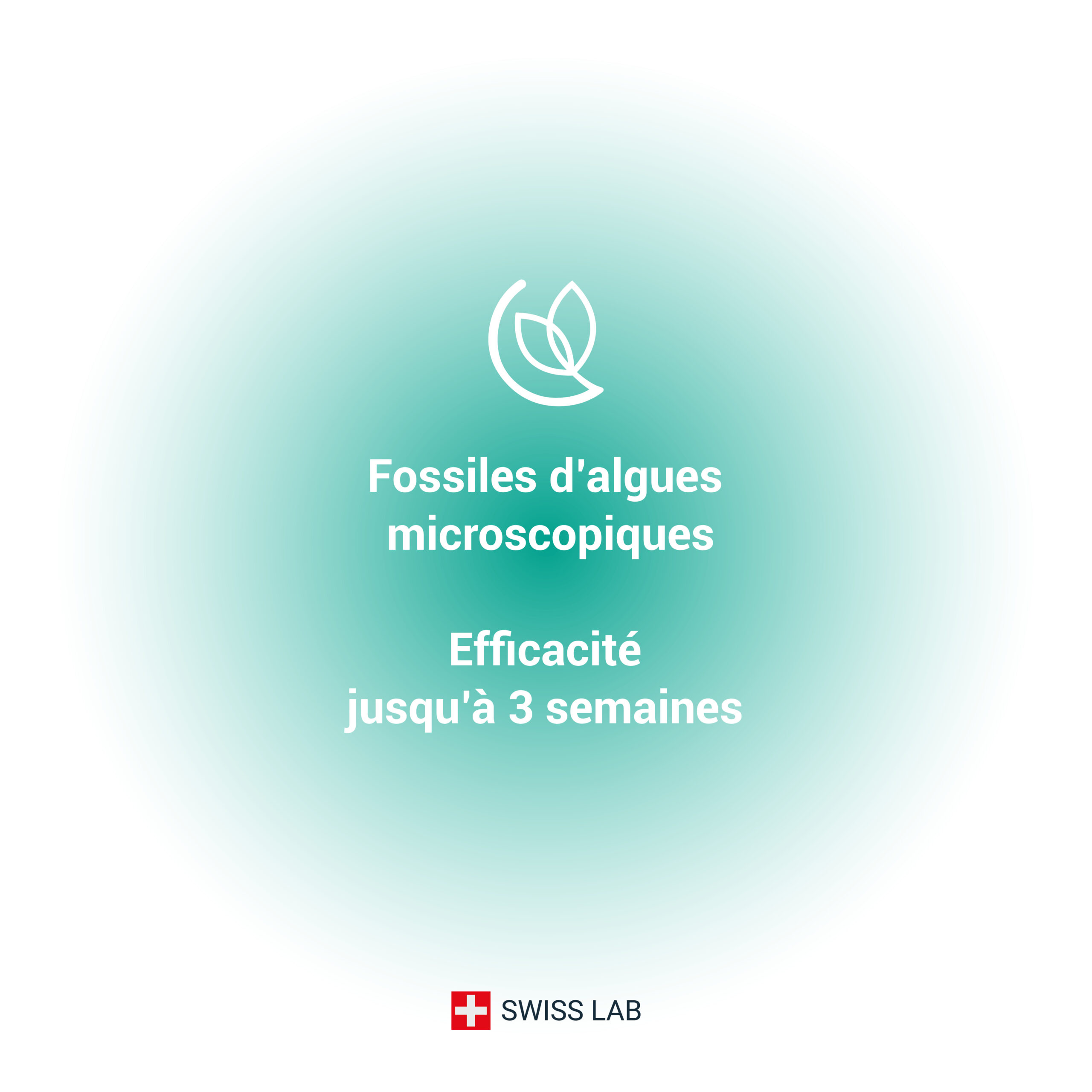 image_diatomee-400ml_4 Terre de diatomée fossiles d'algues microscopiques