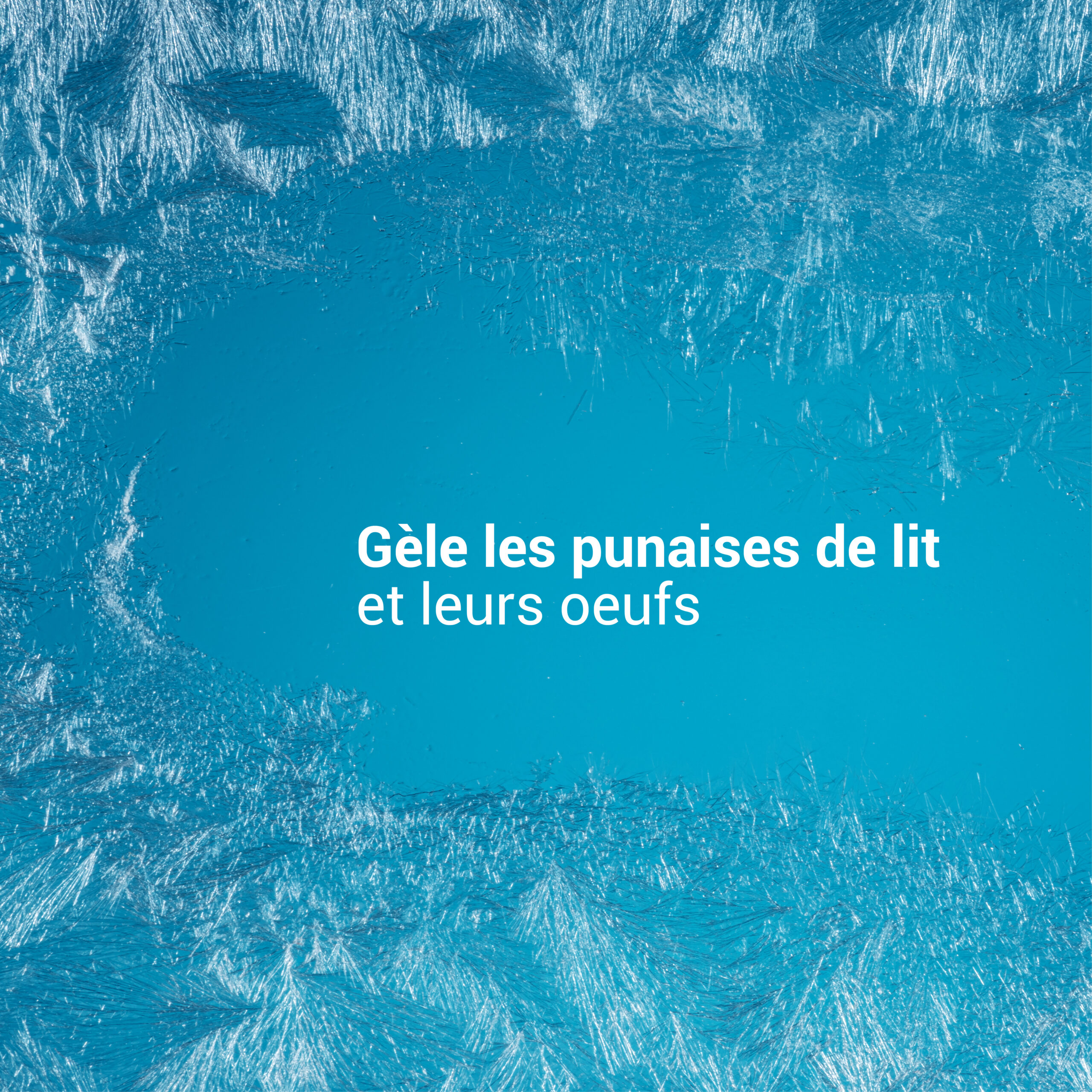 image_freeze-400ml_3