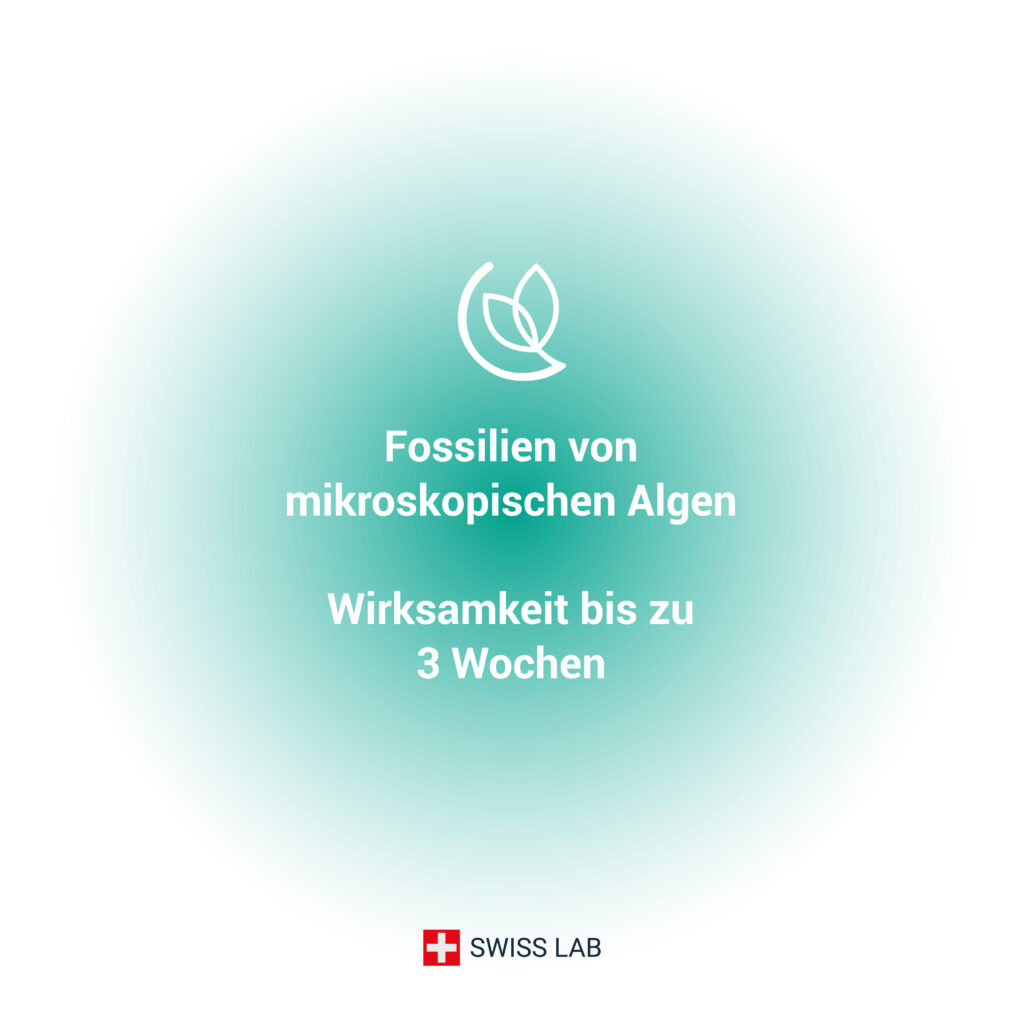 Diatomeenerde mikroskopische Algenfossilien