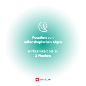 Diatomeenerde mikroskopische Algenfossilien