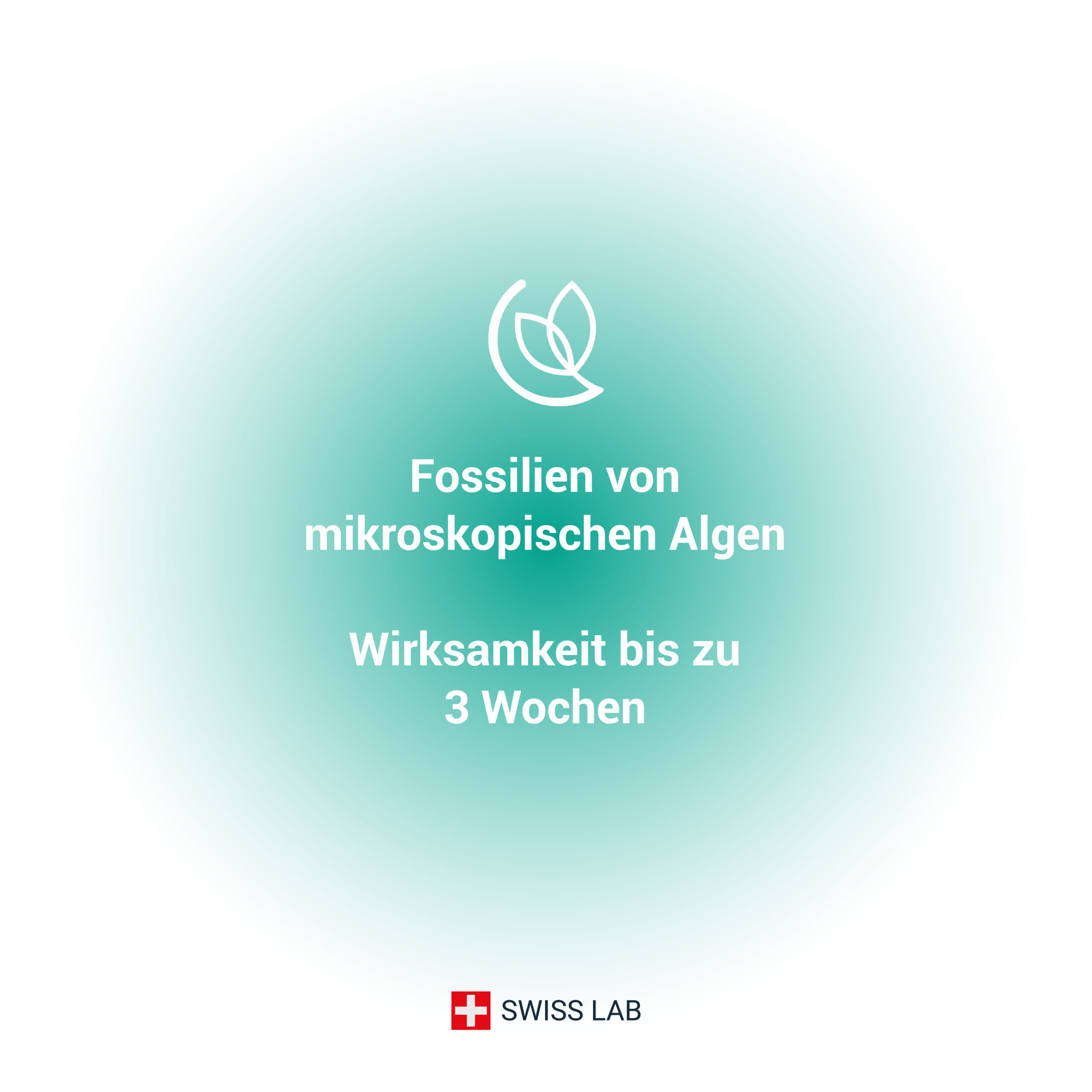 Diatomeenerde mikroskopische Algenfossilien