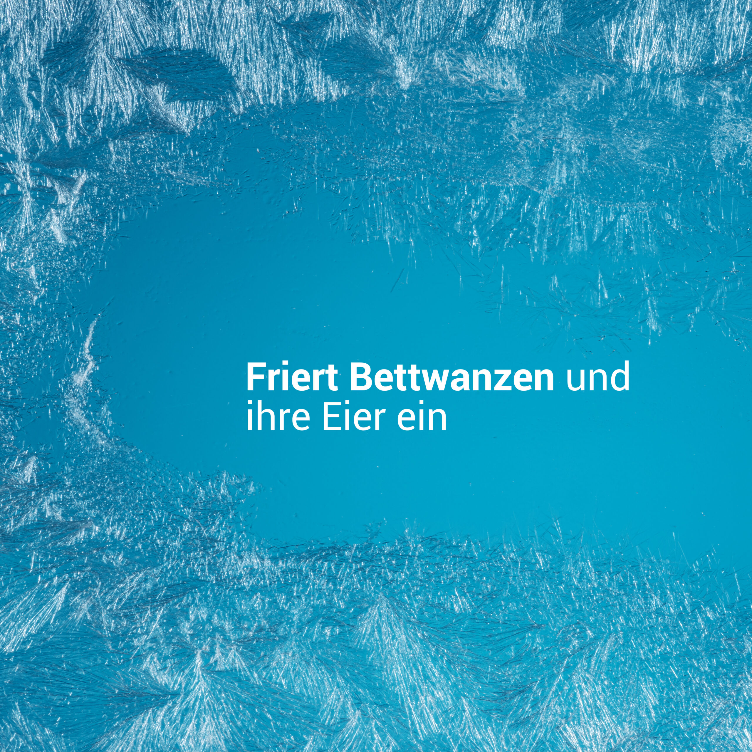 image_freeze-400ml_3 terra di diatomee