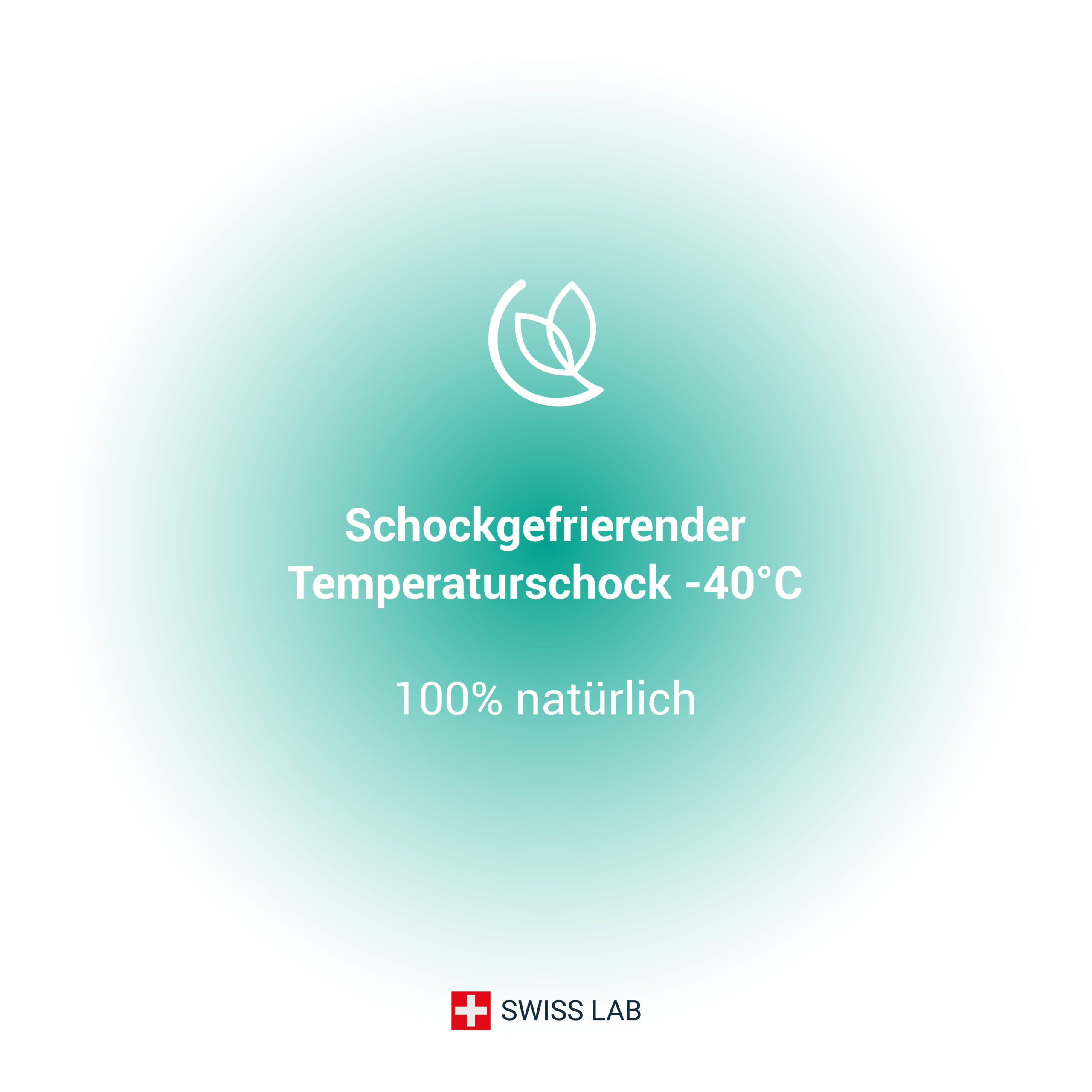 image_freeze-400ml_4 Vernichtender thermischer Schock gegen Bettwanzen