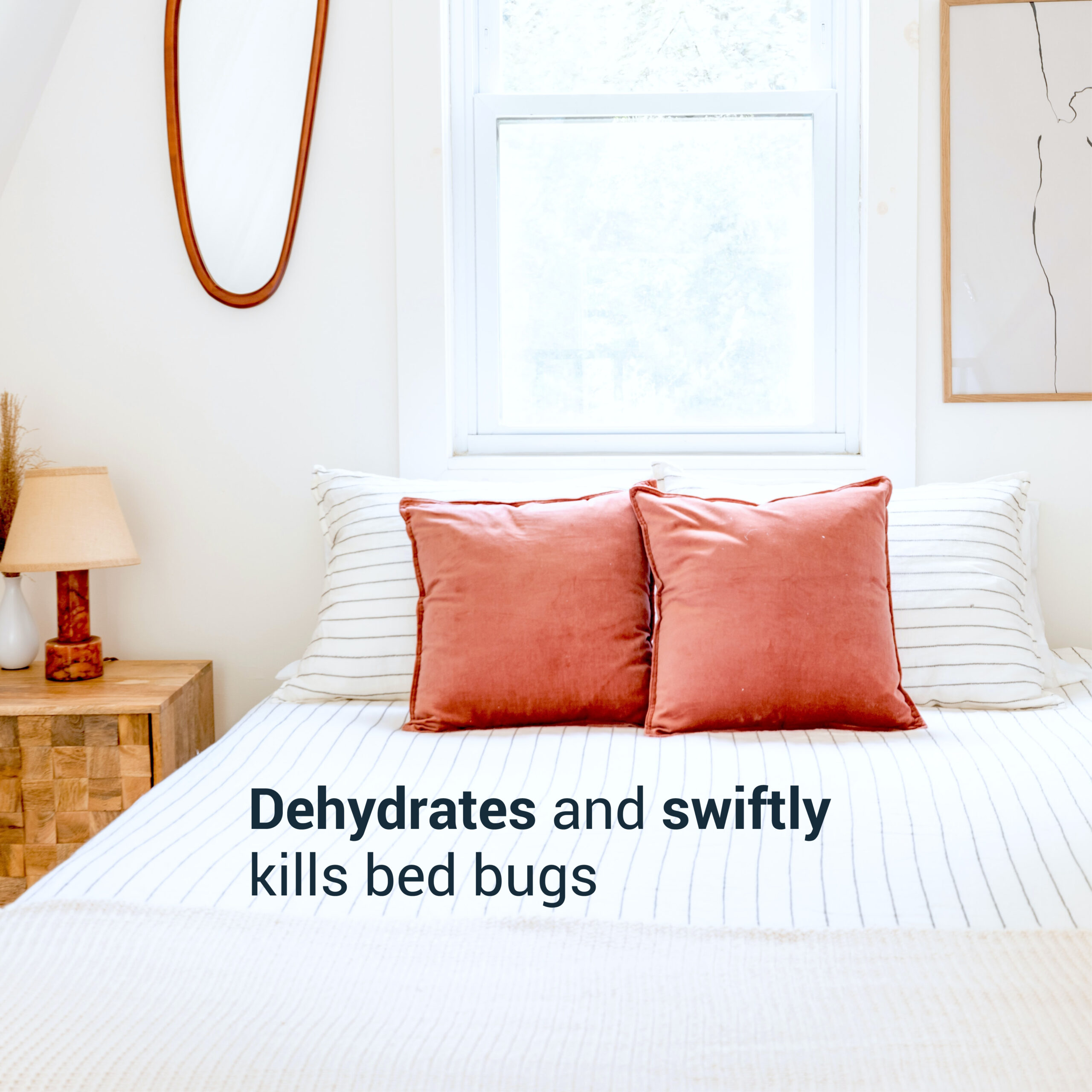 image_diatomee-400ml_3 Diatomaceous Earth: Dehydrates and kills bed bugs