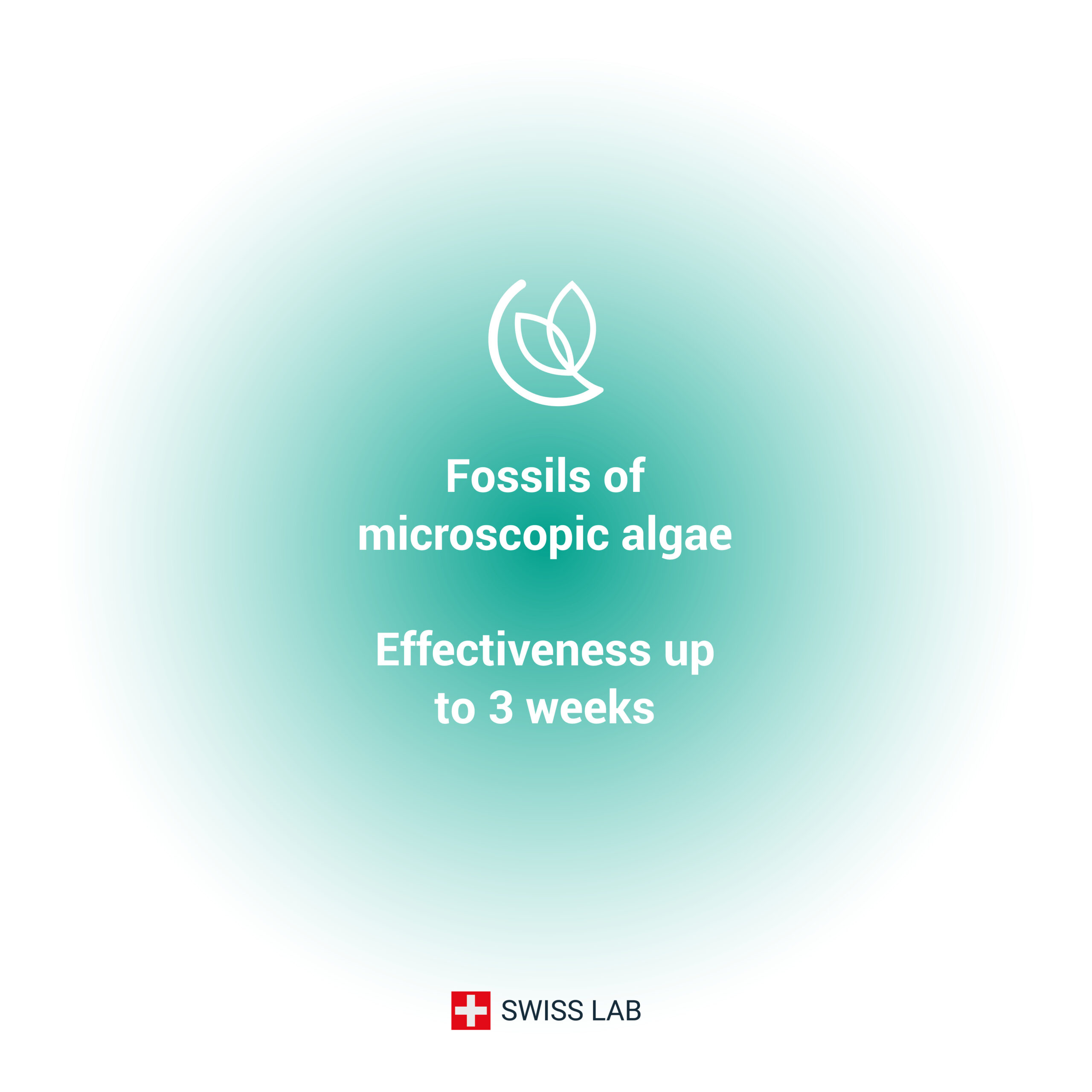 image_diatomee-400ml_4 Diatomaceous earth microscopic algae fossils