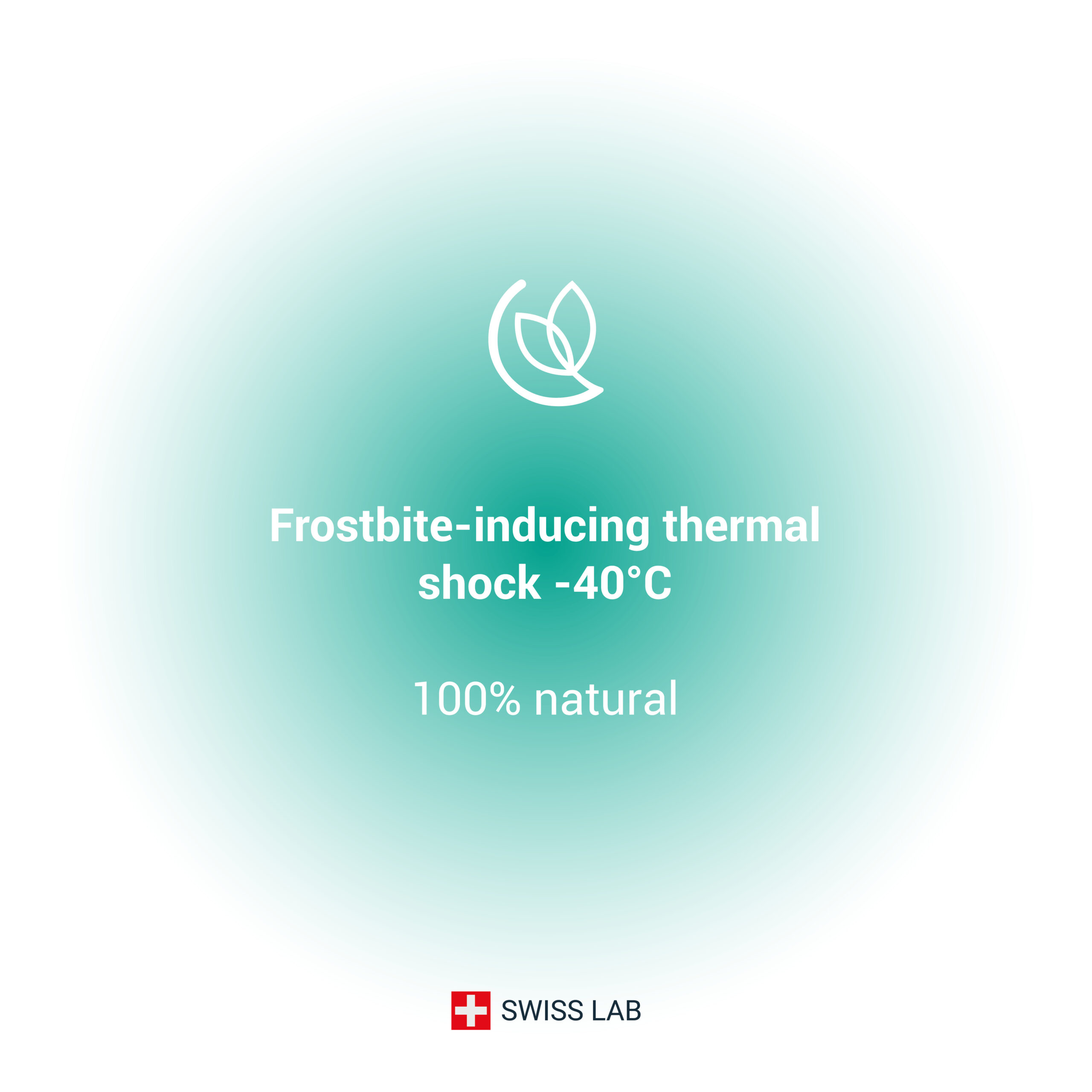 Thermal shock bed bugs extermination