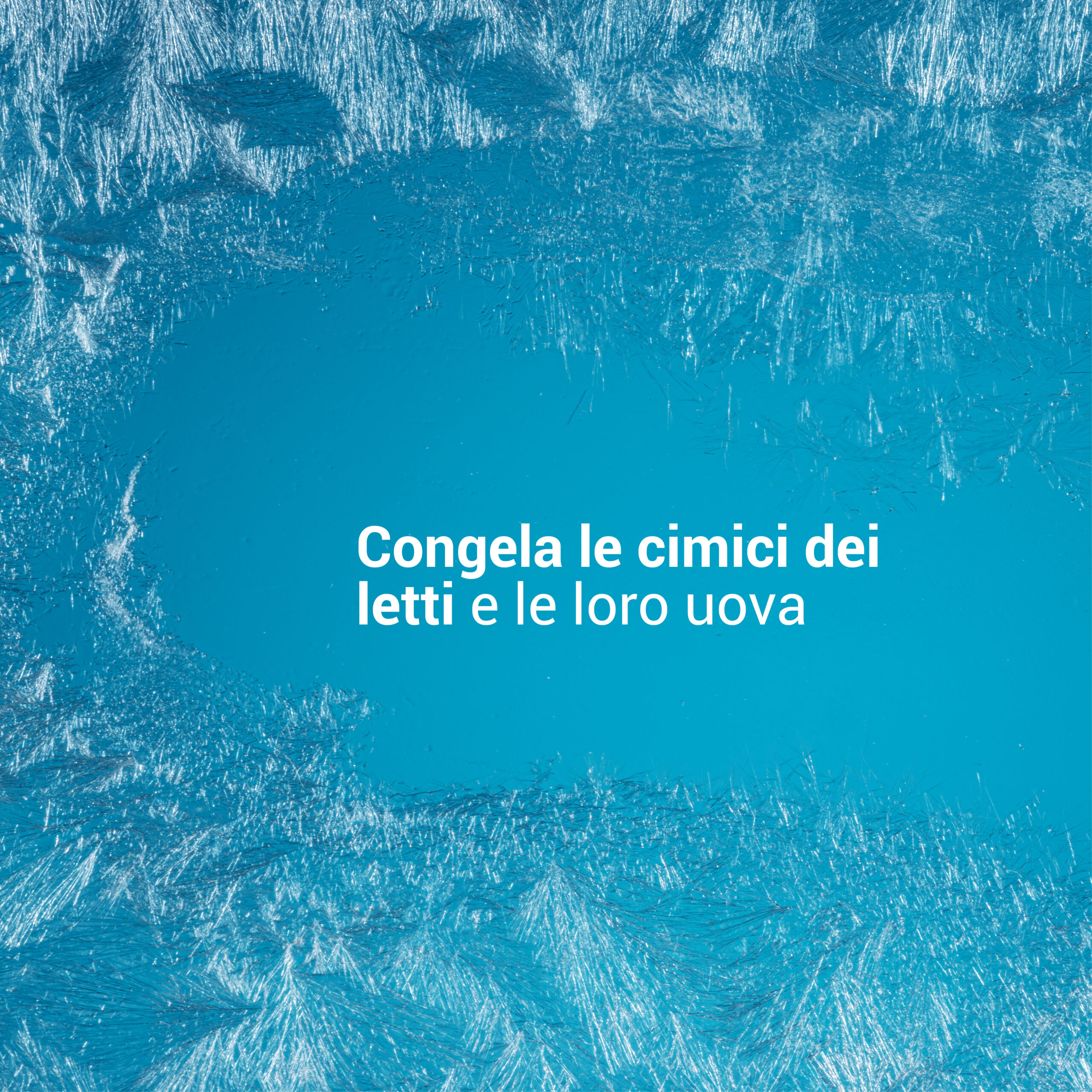 image_freeze-400ml_3 terra di diatomee