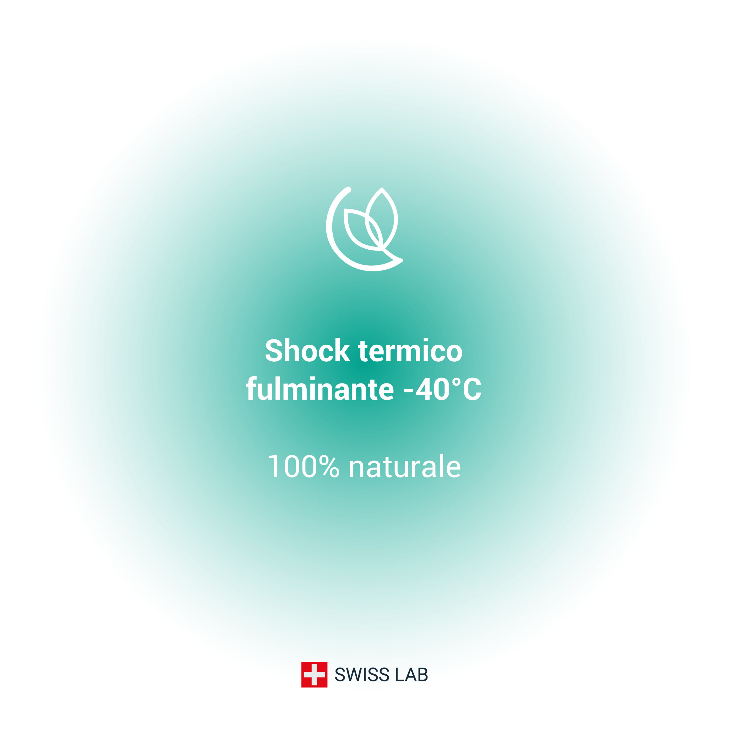 image_freeze-400ml_4 Shock termico fulminante contro le cimici dei letti