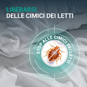 Terra di Diatomacea in Polvere Cimici dei Letti - immagine 6