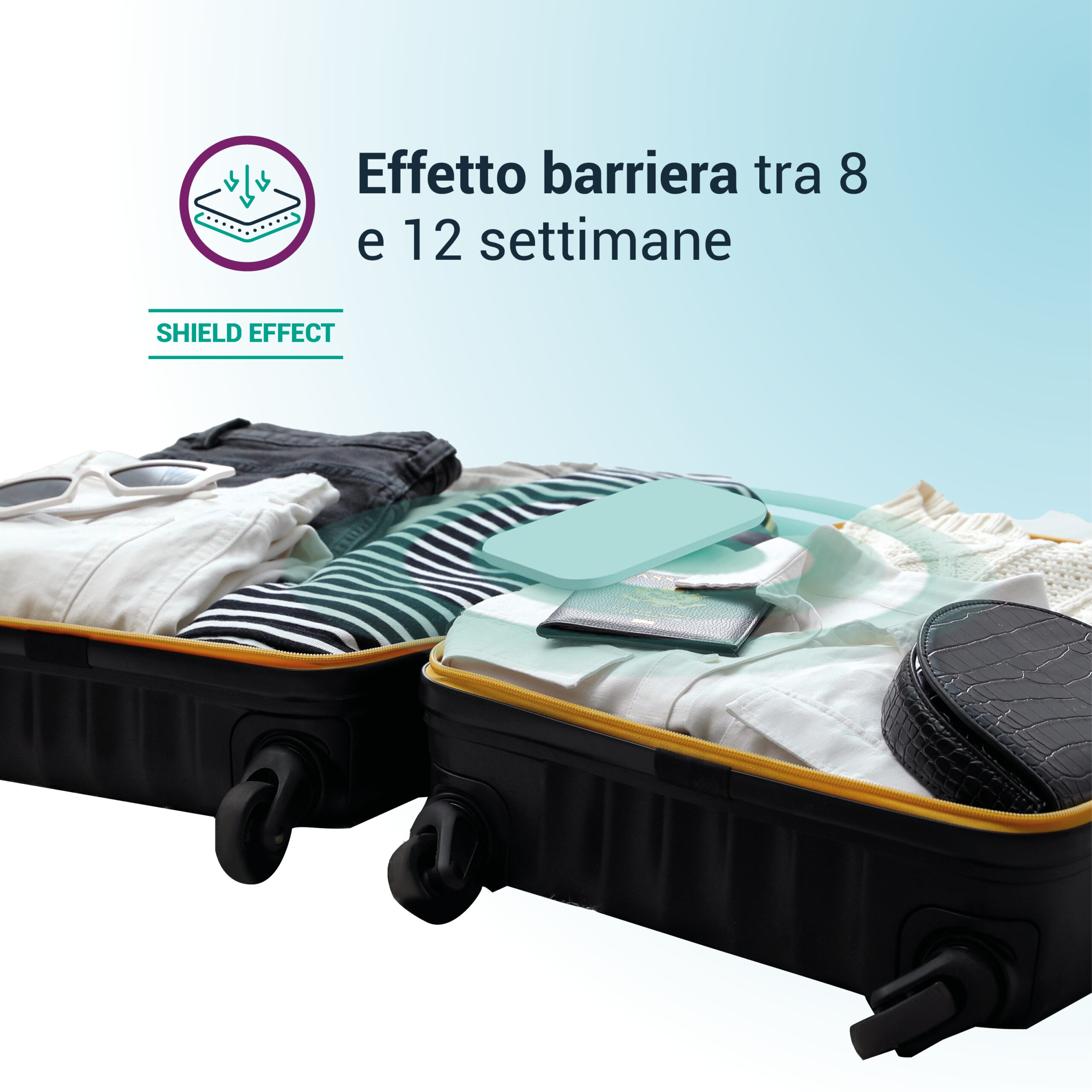 Piastrina cimici da letto barriera Piastrina cimici da letto barriera