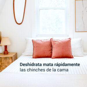 Tierra de Diatomeas en Polvo Chinches de Cama: imagen 3
