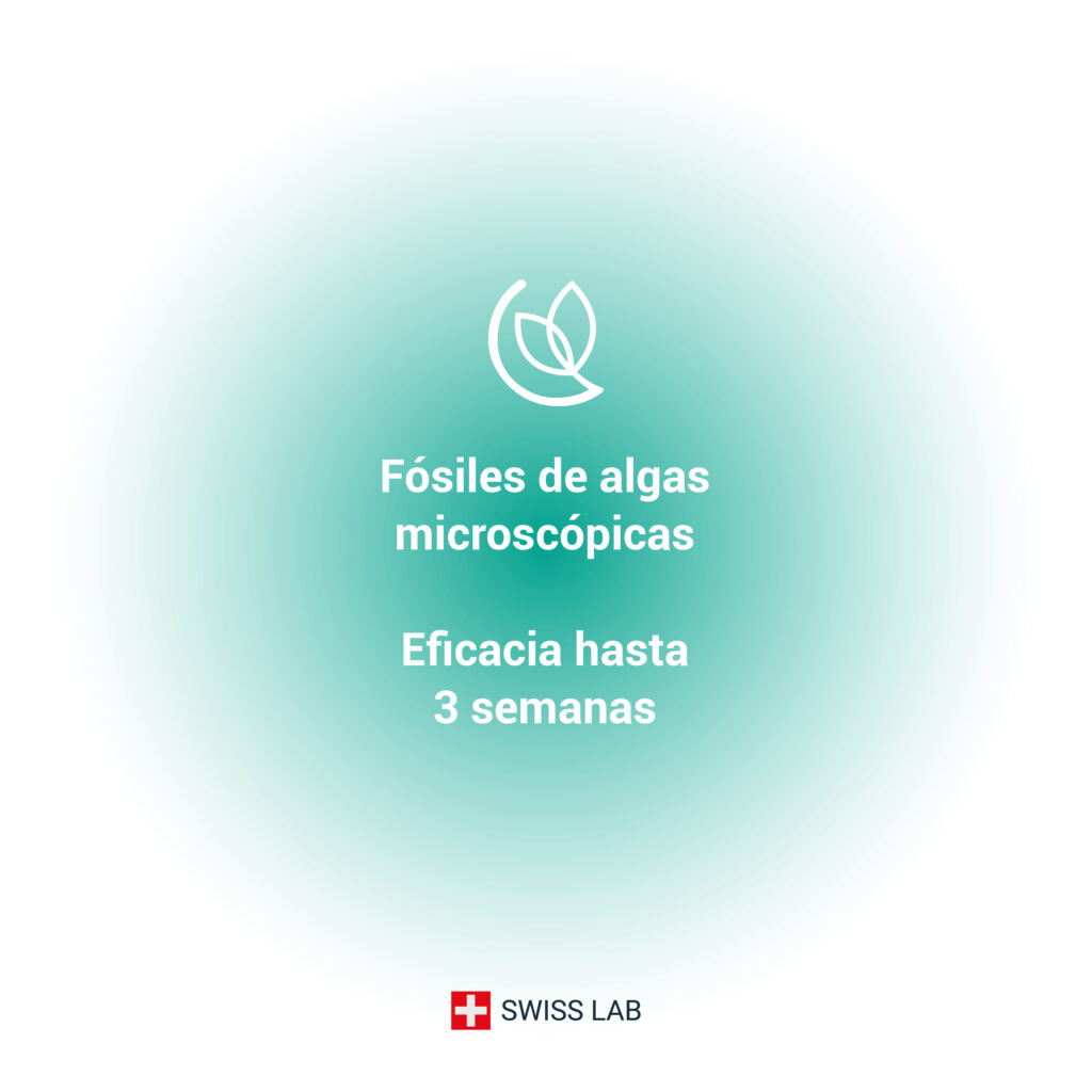 TIERRA DE DIATOMEAS MENTA Hormigas