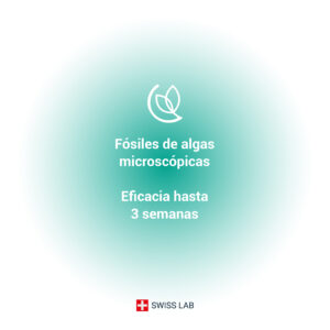 TIERRA DE DIATOMEAS MENTA Hormigas: imagen 5