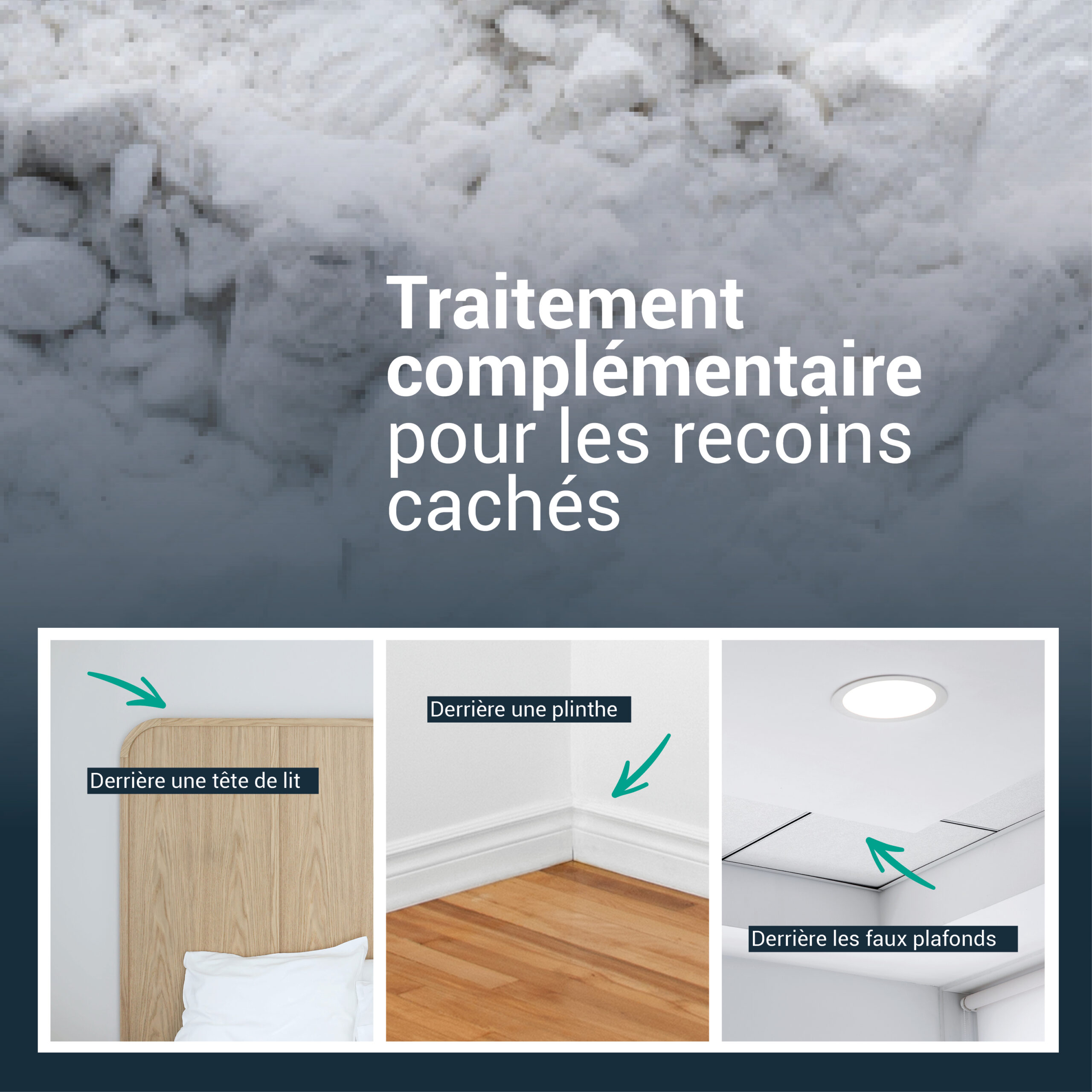 Sachet terre de diatomée