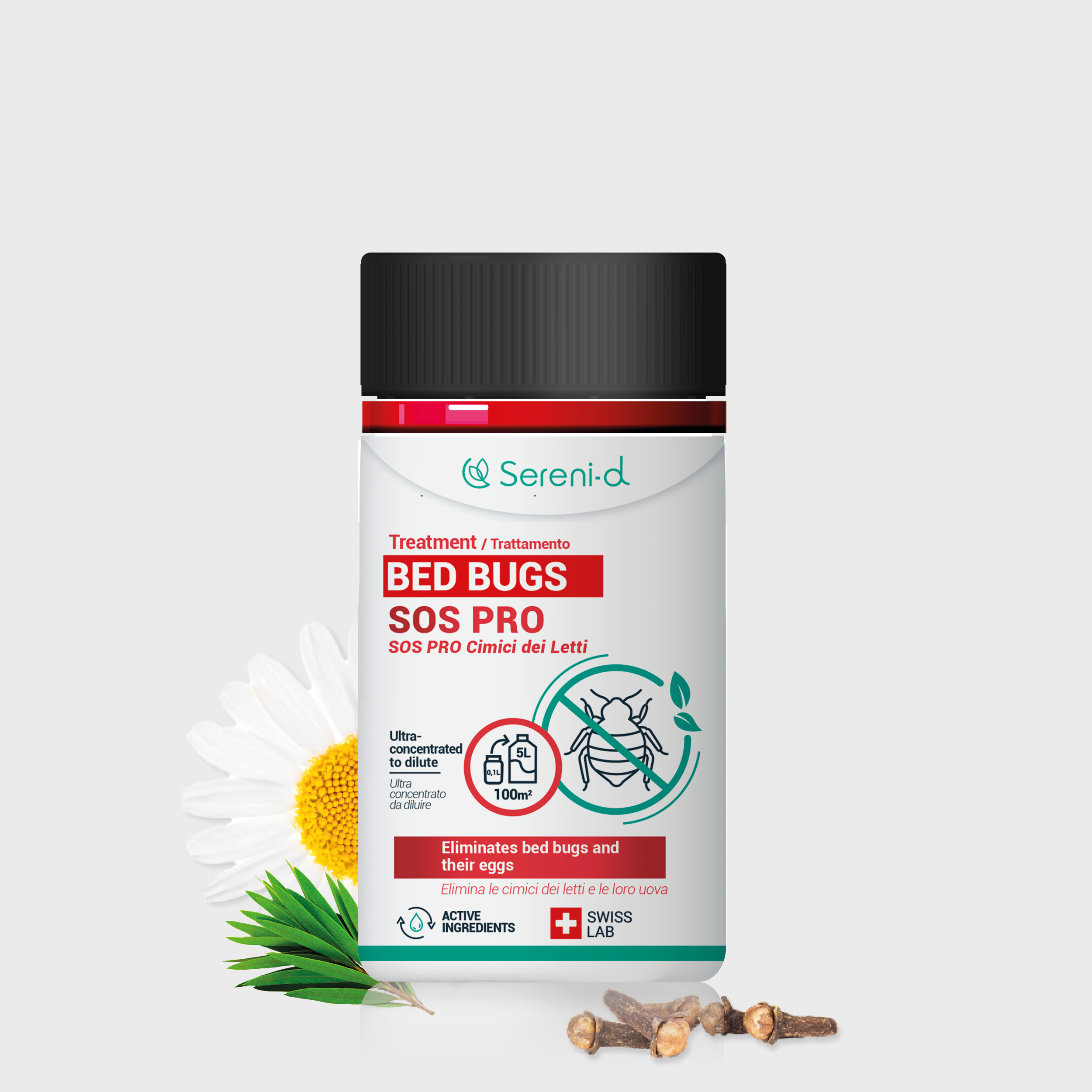 Professional treatment bed bugs