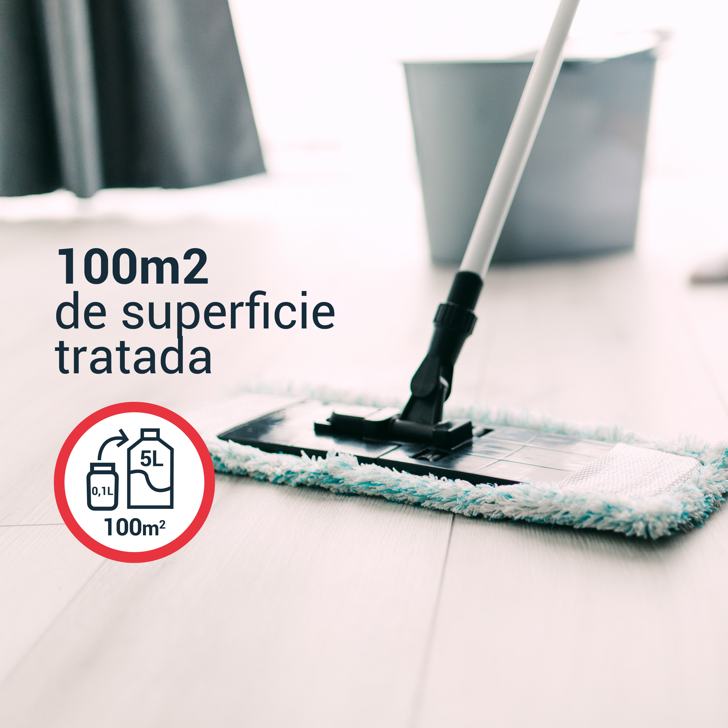 Traitement punaise de lit professionnel