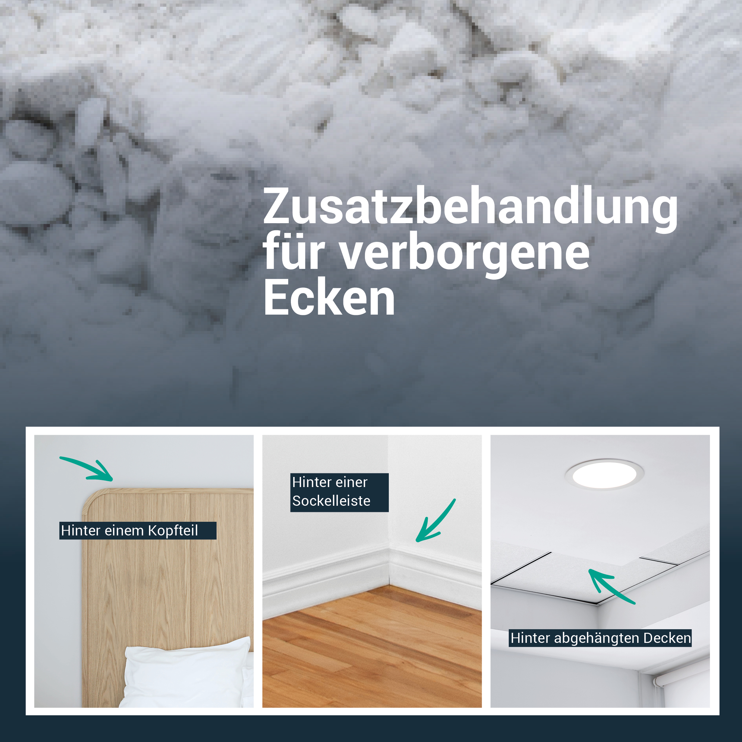 Traitement punaise de lit professionnel