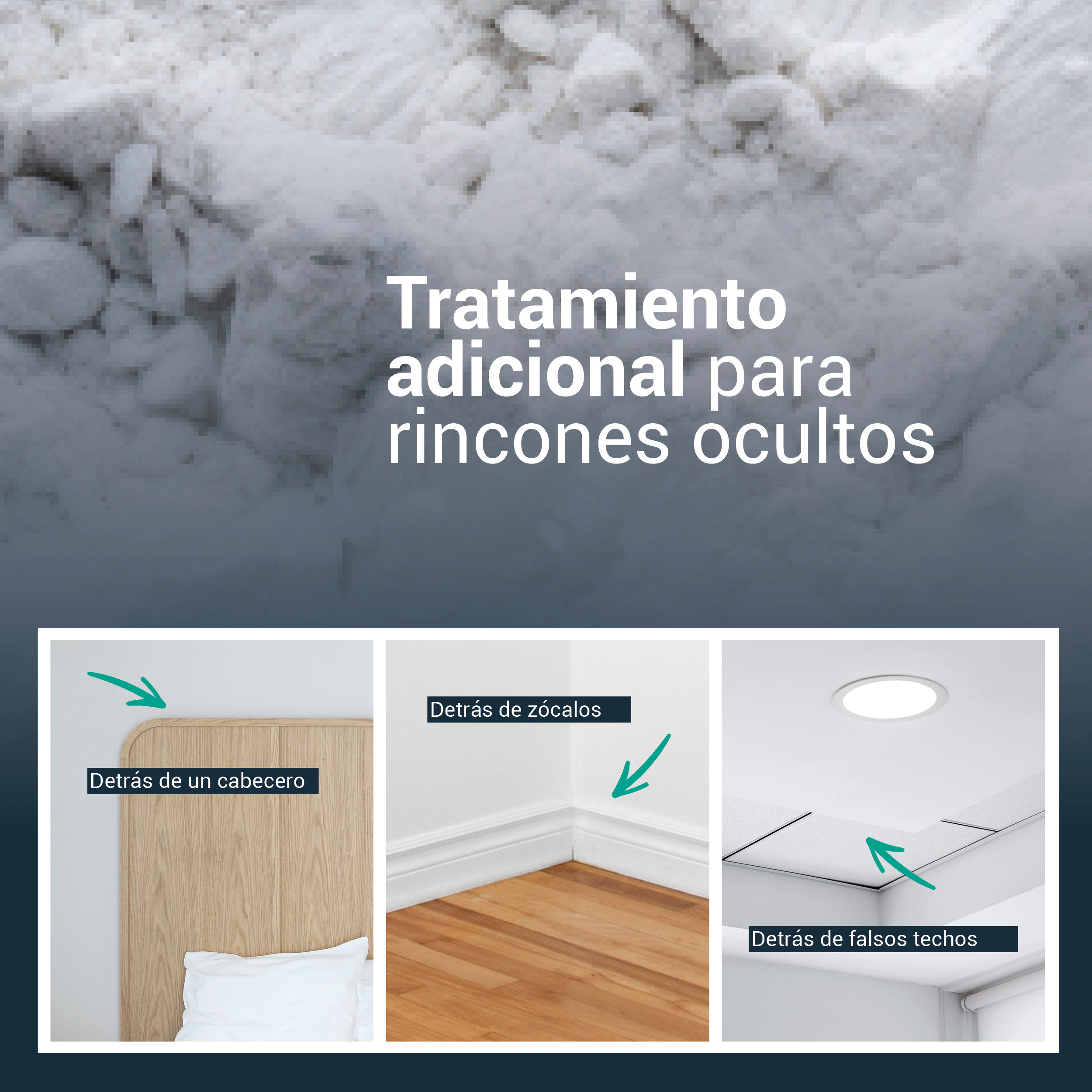 image_Sachet_diatomee-3 Traitement punaise de lit professionnel