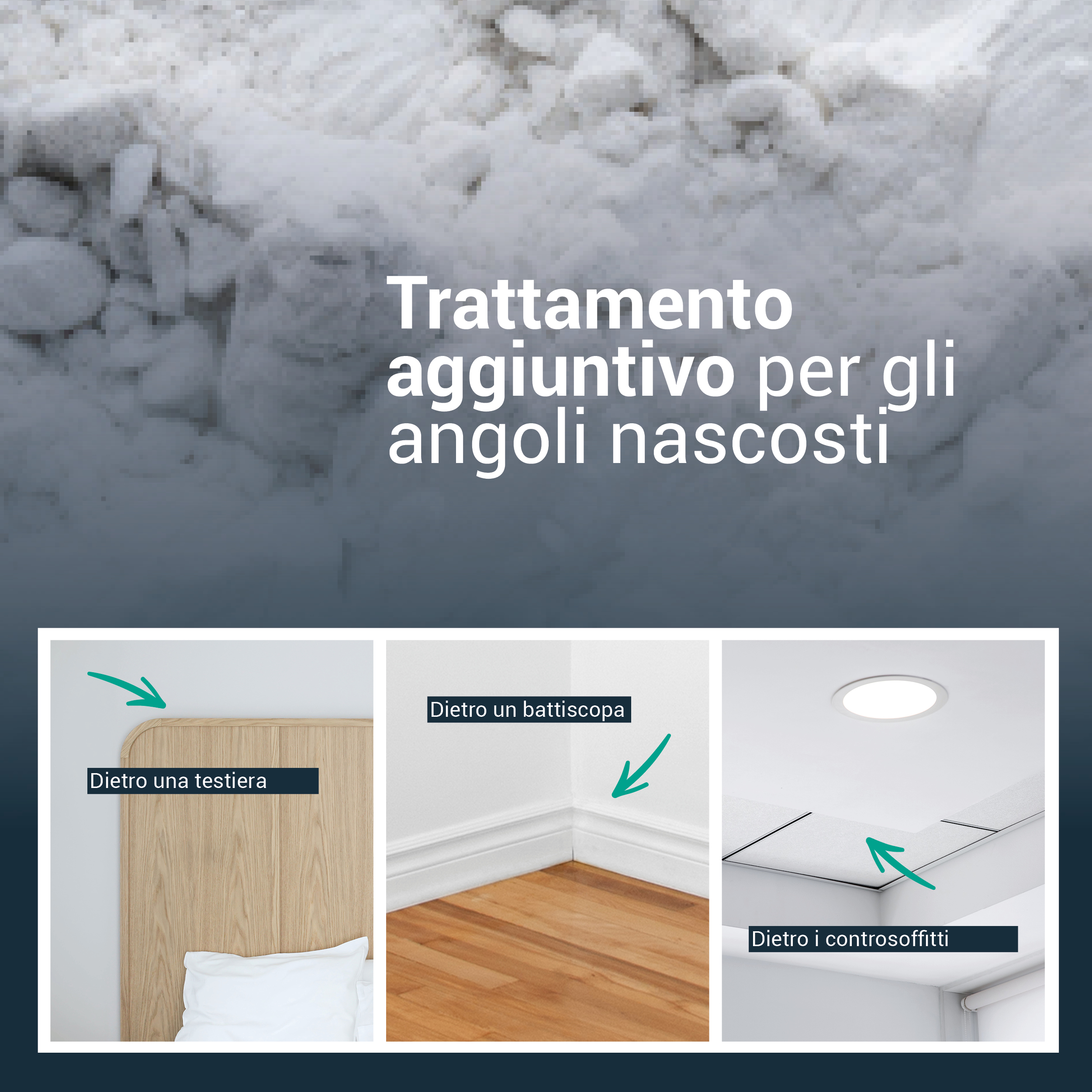 Traitement punaise de lit professionnel