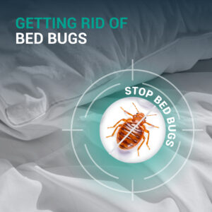 Diatomaceous Earth Powder Bed Bugs - Image 6