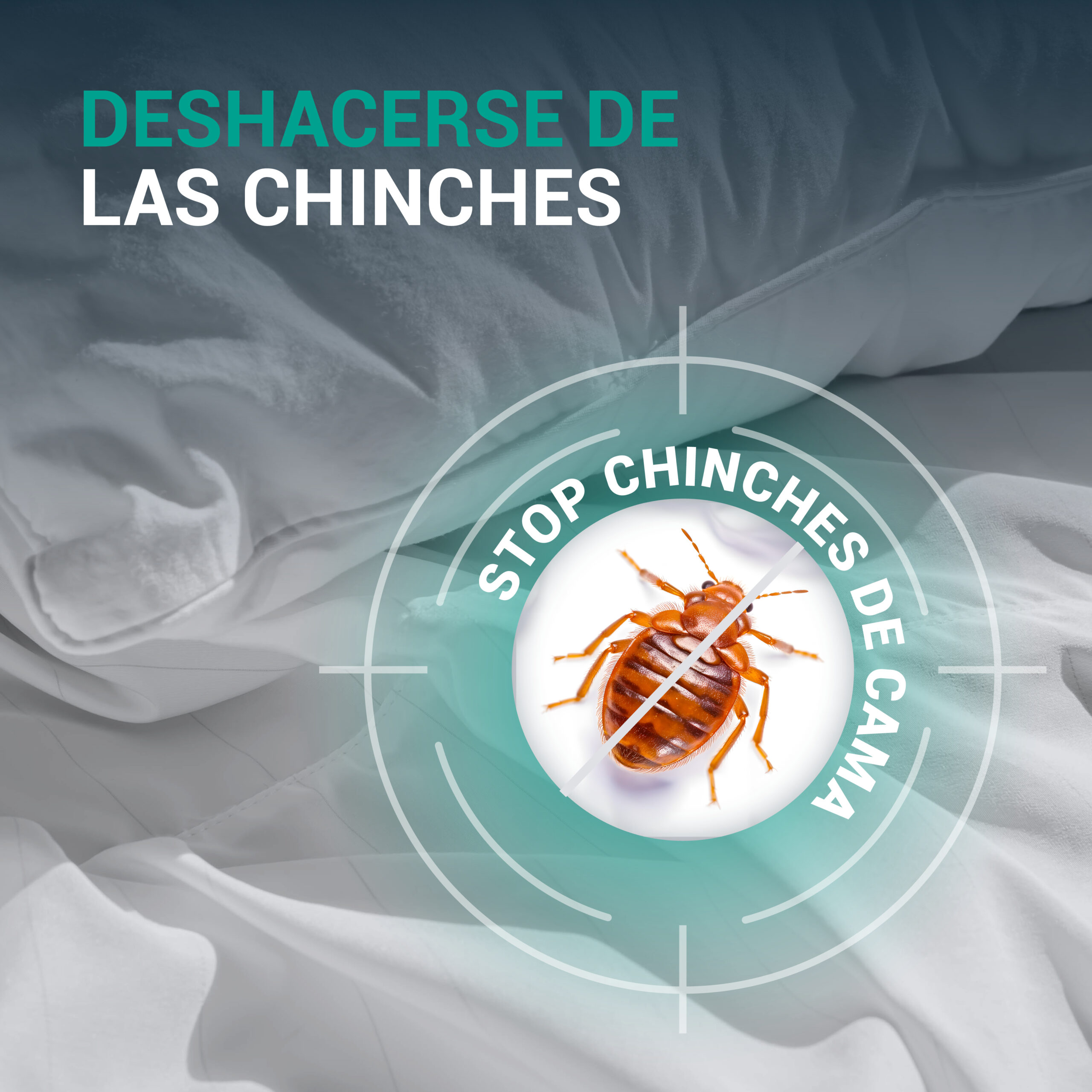 deshacerse de las chinches