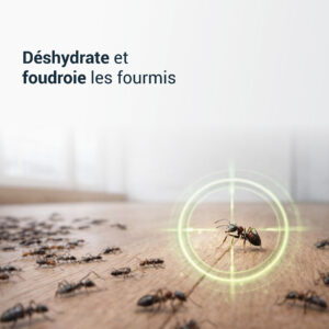 TERRE DE DIATOMÉE MENTHE Fourmis – Image 3