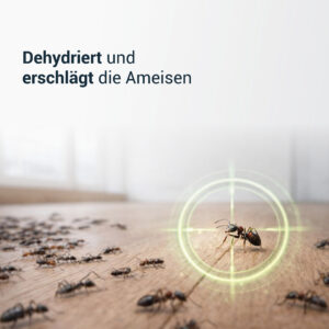 KIESELGUR MINZE Ameisen – Bild 3
