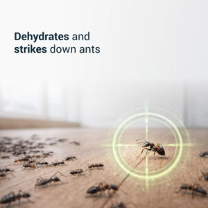 DIATOMACEOUS EARTH MINT Ants - Image 3