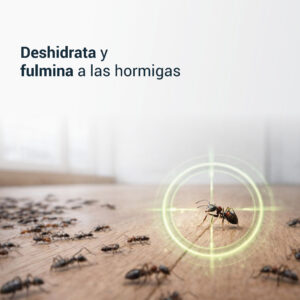 TIERRA DE DIATOMEAS MENTA Hormigas: imagen 3