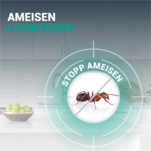 KIESELGUR MINZE Ameisen – Bild 4
