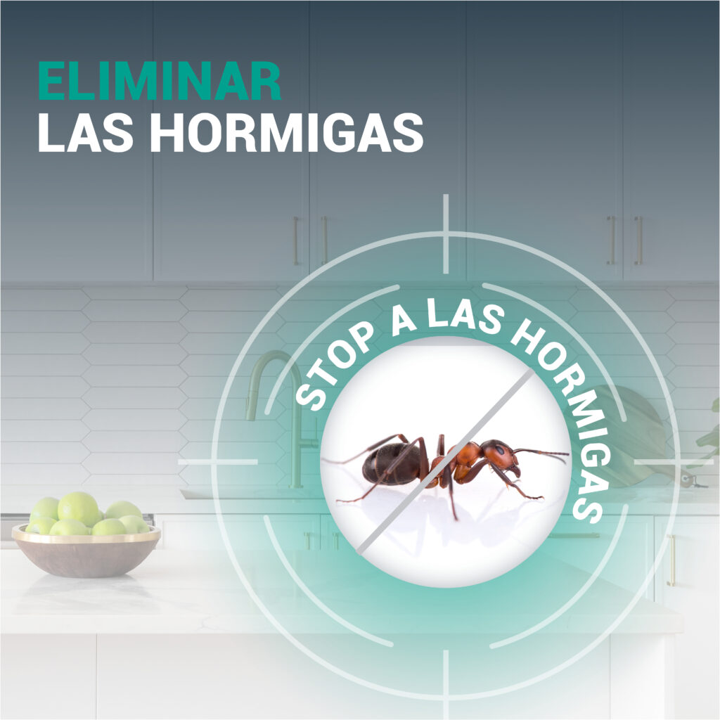 TIERRA DE DIATOMEAS MENTA Hormigas