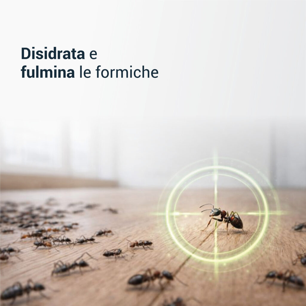 TERRA DI DIATOMEE alla MENTA Formiche