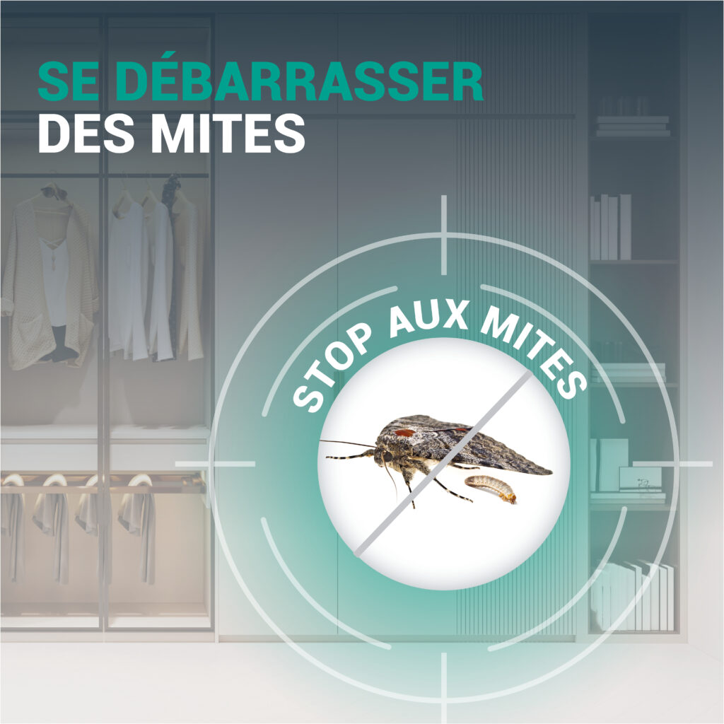EXTERMINT Mites Alimentaires & Vêtements