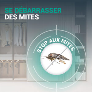 DIFFUSEUR Répulsif Anti-Mites Textiles MINTPOWER – Image 4