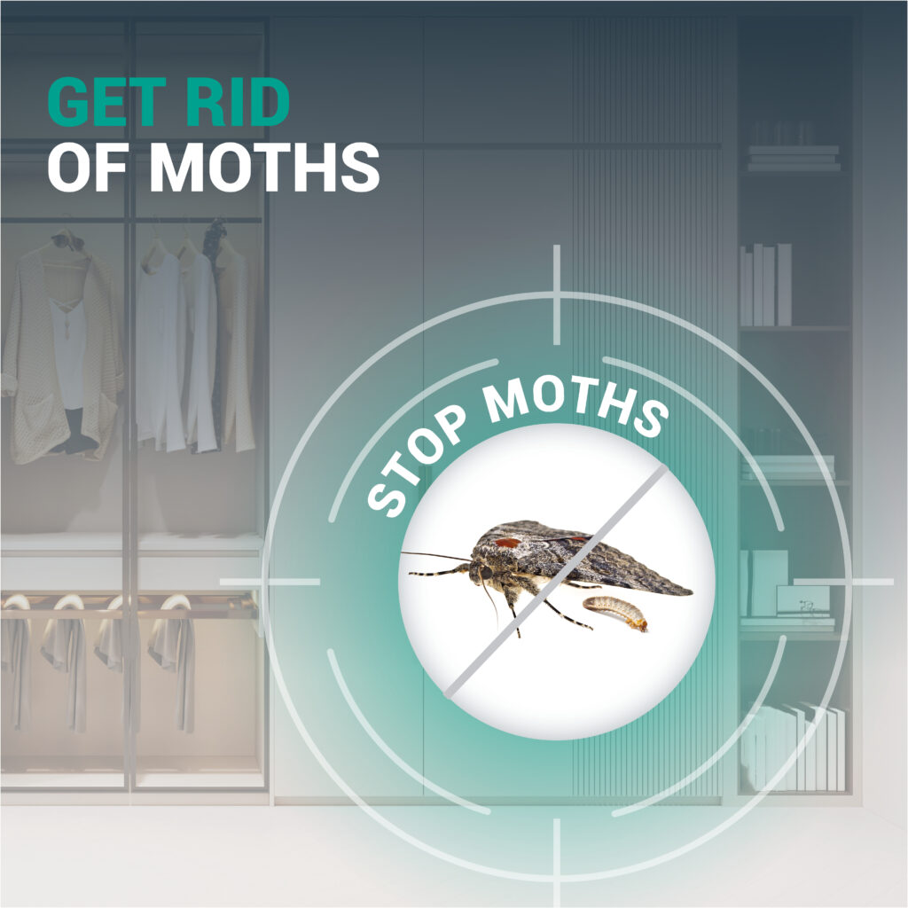 EXTERMINT Food & Clothes Moths