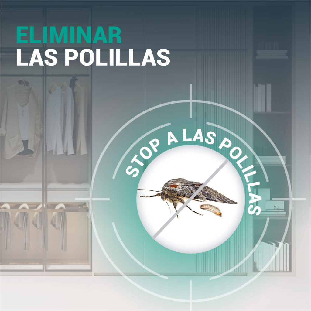 EXTERMINT Polillas de Alimentos y Textiles