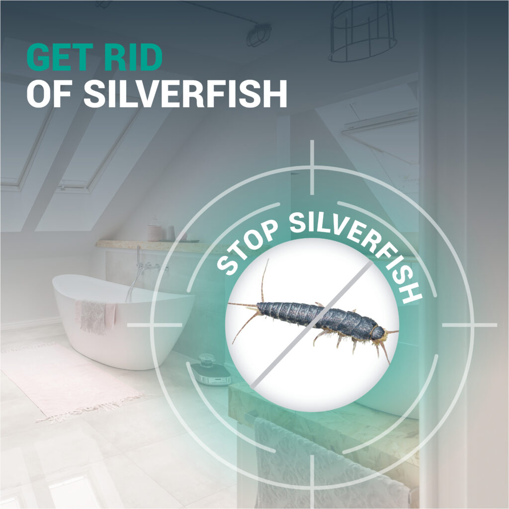 STOPPER Silverfish