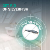 silverfish_EN