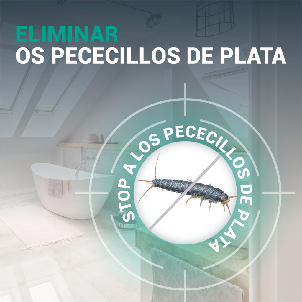 STOPPER Pececillos de Plata