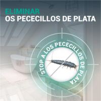 pececillos de plata_ES