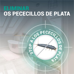 STOPPER Pececillos de Plata: imagen 4