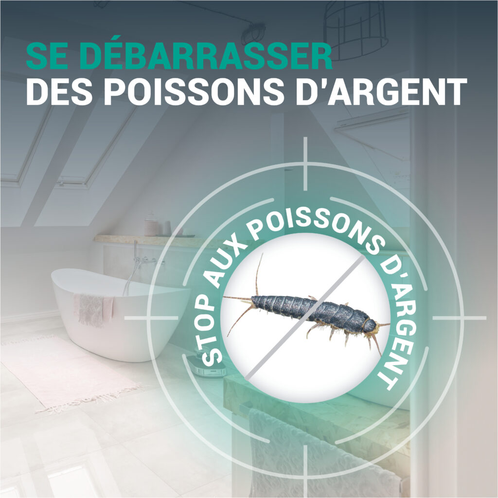 STOPPER Poissons d'Argent